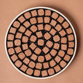 505 graduation stamped tray
